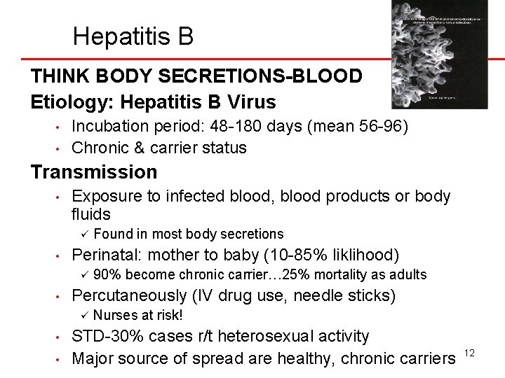 Hepatitis B THINK BODY SECRETIONS-BLOOD Etiology: Hepatitis B Virus • • Incubation period: 48