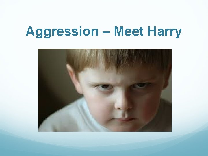 Aggression – Meet Harry 