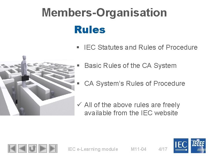 Members-Organisation Rules § IEC Statutes and Rules of Procedure § Basic Rules of the