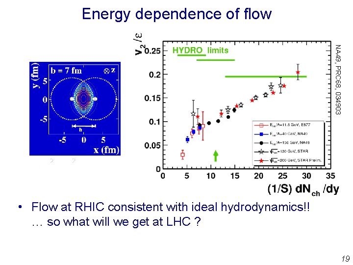 Energy dependence of flow NA 49, PRC 68, 034903 • Flow at RHIC consistent