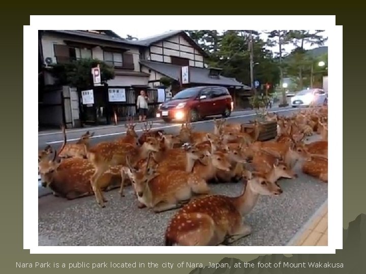 Nara Park is a public park located in the city of Nara, Japan, at