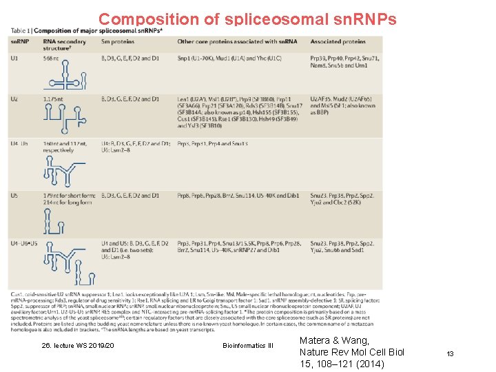 Composition of spliceosomal sn. RNPs 26. lecture WS 2019/20 Bioinformatics III Matera & Wang, Composition of spliceosomal sn. RNPs 26. lecture WS 2019/20 Bioinformatics III Matera & Wang,