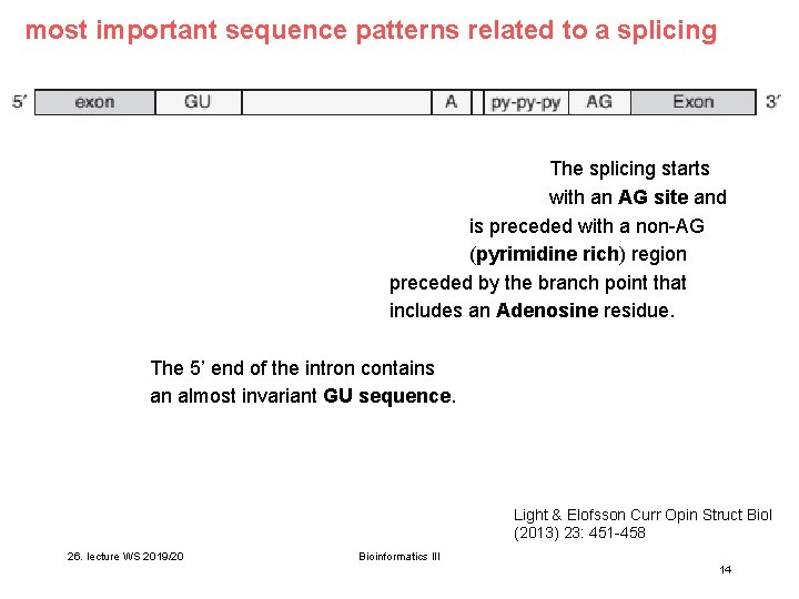 most important sequence patterns related to a splicing The splicing starts with an AG most important sequence patterns related to a splicing The splicing starts with an AG