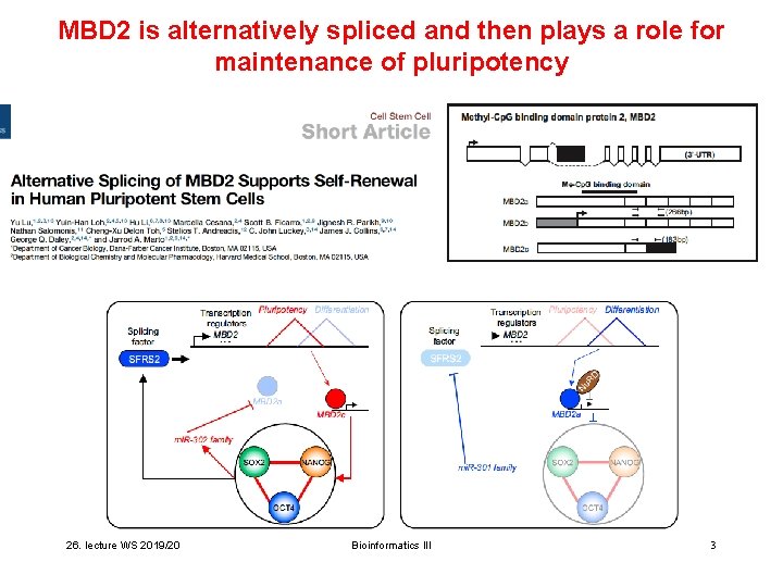 MBD 2 is alternatively spliced and then plays a role for maintenance of pluripotency MBD 2 is alternatively spliced and then plays a role for maintenance of pluripotency