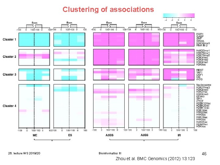 Clustering of associations Ch. IP-seq data for TF binding. 26. lecture WS 2019/20 Bioinformatics Clustering of associations Ch. IP-seq data for TF binding. 26. lecture WS 2019/20 Bioinformatics