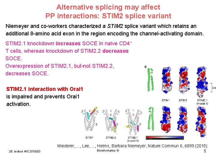 Alternative splicing may affect PP interactions: STIM 2 splice variant Niemeyer and co-workers characterized Alternative splicing may affect PP interactions: STIM 2 splice variant Niemeyer and co-workers characterized