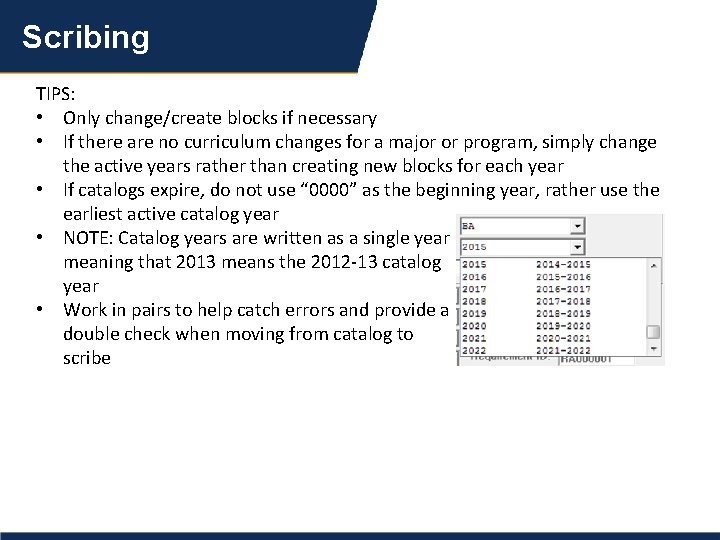 Scribing TIPS: • Only change/create blocks if necessary • If there are no curriculum