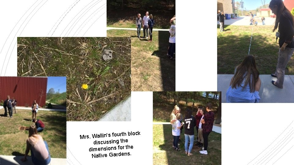 rth block Mrs. Wallin's fou discussing the e dimensions for th Native Gardens. 