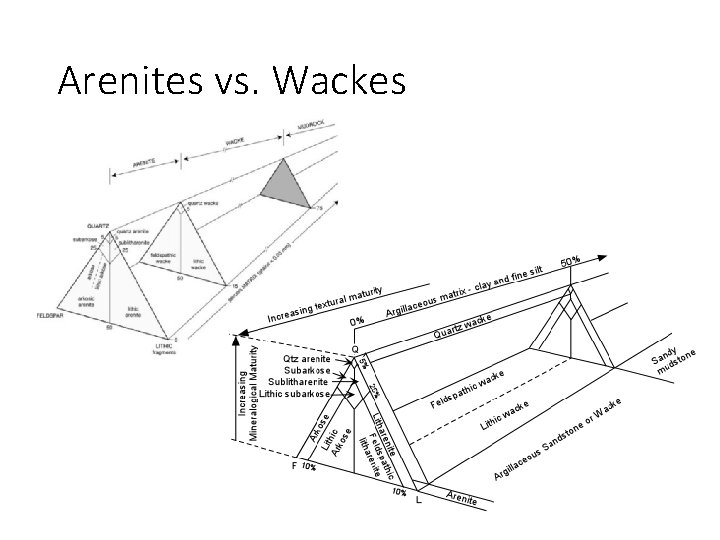 Arenites vs. Wackes 