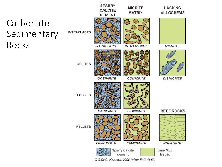 Carbonate Sedimentary Rocks 