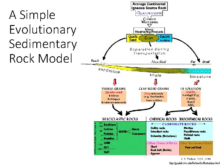 A Simple Evolutionary Sedimentary Rock Model 