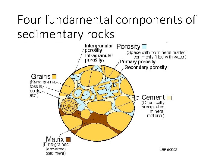 Four fundamental components of sedimentary rocks 