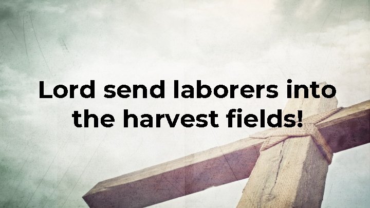 Lord send laborers into the harvest fields! 