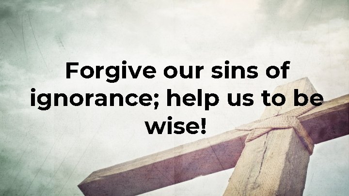 Forgive our sins of ignorance; help us to be wise! 