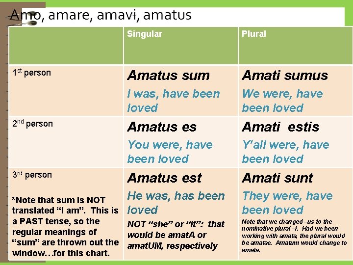 1 st person 2 nd person 3 rd person Singular Plural Amatus sum Amati