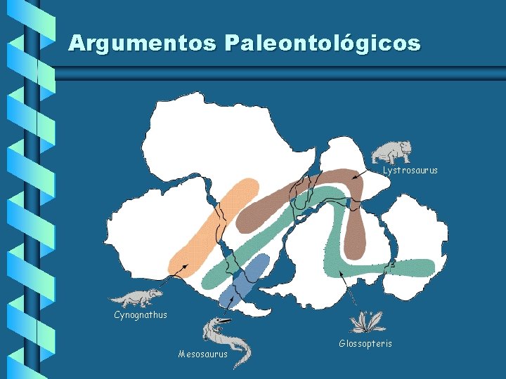 Argumentos Paleontológicos Lystrosaurus Cynognathus Mesosaurus Glossopteris Argumentos Paleontológicos Lystrosaurus Cynognathus Mesosaurus Glossopteris