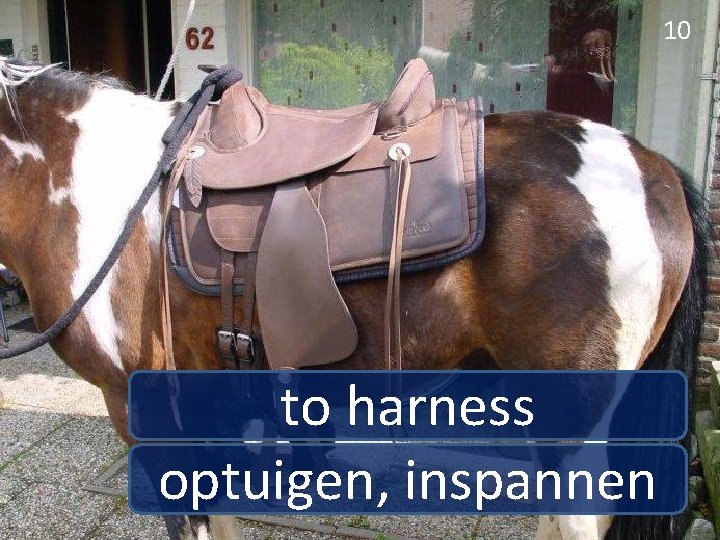 10 to harness optuigen, inspannen 