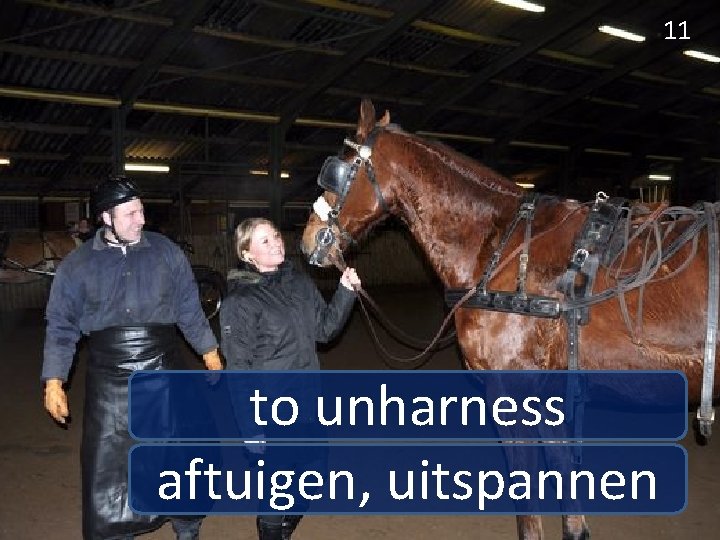 11 to unharness aftuigen, uitspannen 