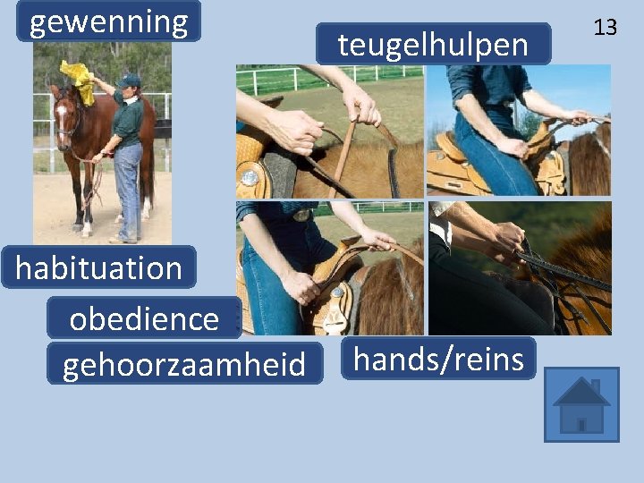 gewenning habituation obedience gehoorzaamheid teugelhulpen hands/reins 13 