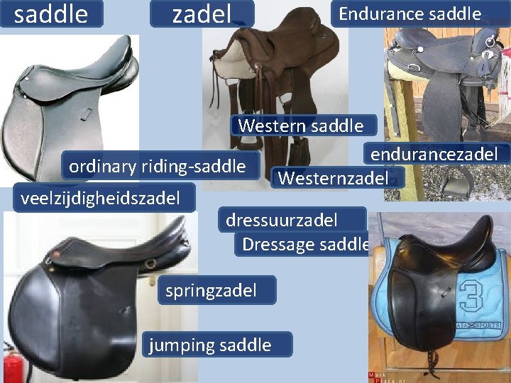 saddle zadel Endurance saddle 15 Western saddle ordinary riding-saddle veelzijdigheidszadel endurancezadel Westernzadel dressuurzadel Dressage