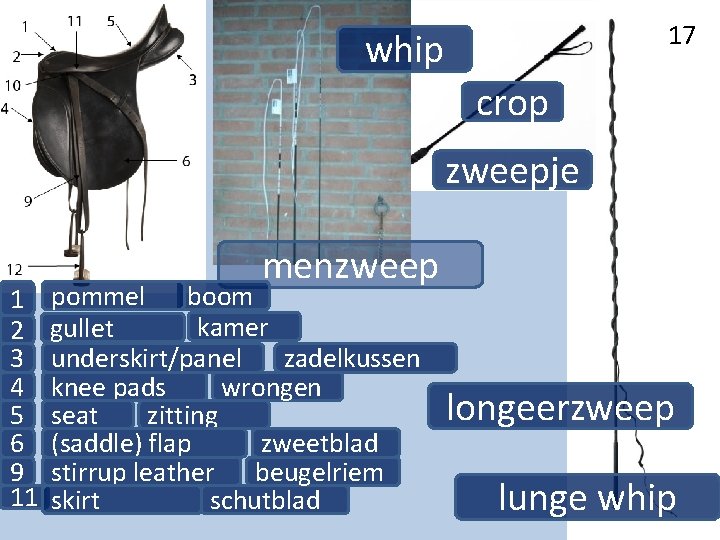 17 whip crop zweepje 1 2 3 4 5 6 9 11 menzweep pommel