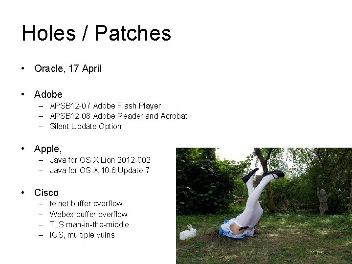 Holes / Patches • Oracle, 17 April • Adobe – APSB 12 -07 Adobe