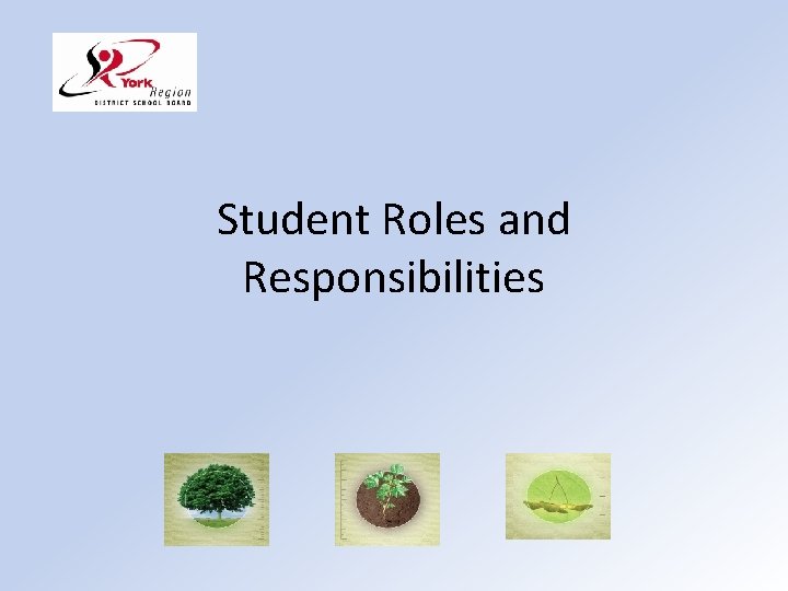 Student Roles and Responsibilities 