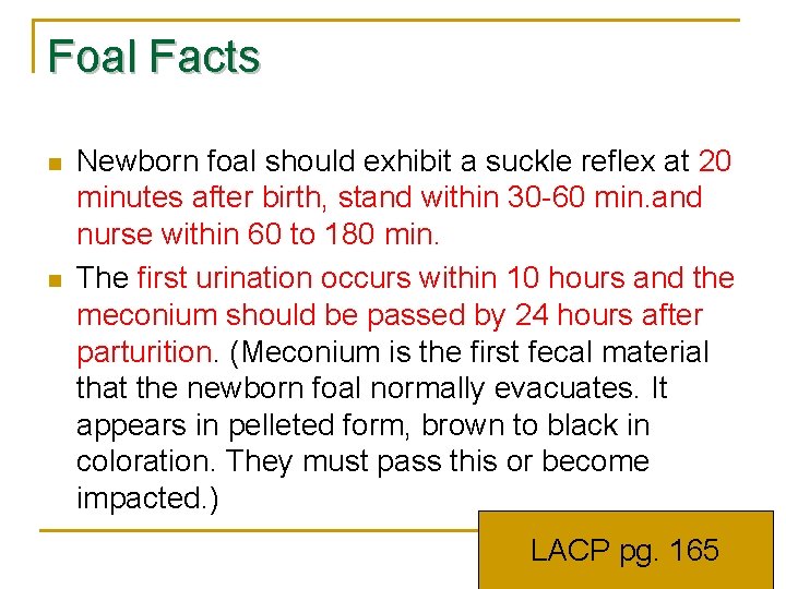 Foal Facts n n Newborn foal should exhibit a suckle reflex at 20 minutes