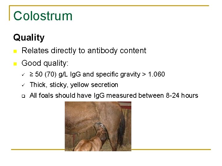 Colostrum Quality n Relates directly to antibody content n Good quality: ü ≥ 50