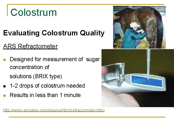 Colostrum Evaluating Colostrum Quality ARS Refractometer n Designed for measurement of sugar concentration of