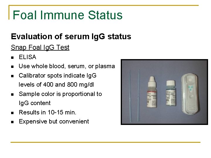 Foal Immune Status Evaluation of serum Ig. G status Snap Foal Ig. G Test