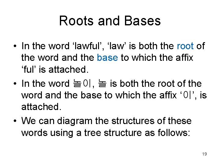 Roots and Bases • In the word ‘lawful’, ‘law’ is both the root of