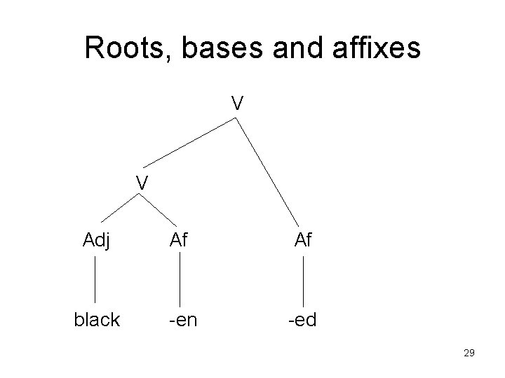 Roots, bases and affixes V V Adj Af Af black -en -ed 29 