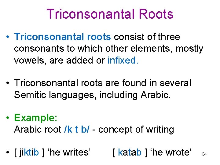 Triconsonantal Roots • Triconsonantal roots consist of three consonants to which other elements, mostly