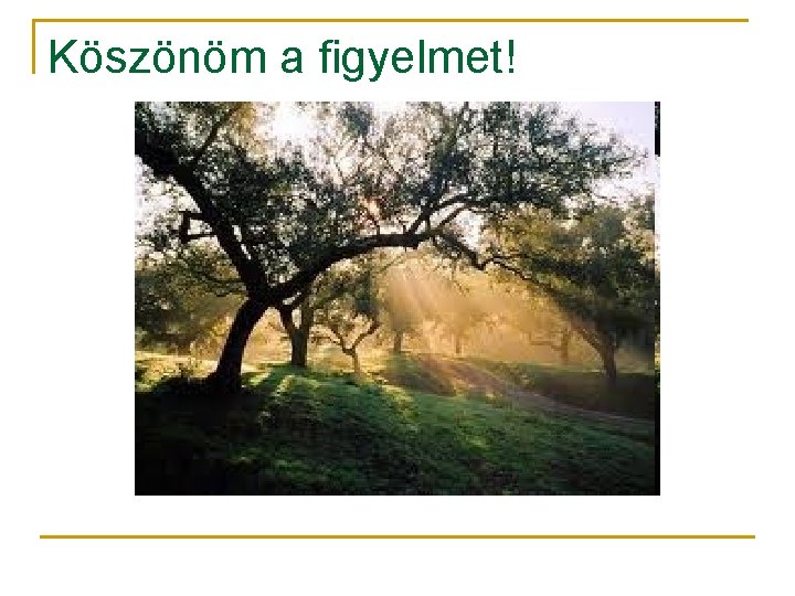 Köszönöm a figyelmet! 