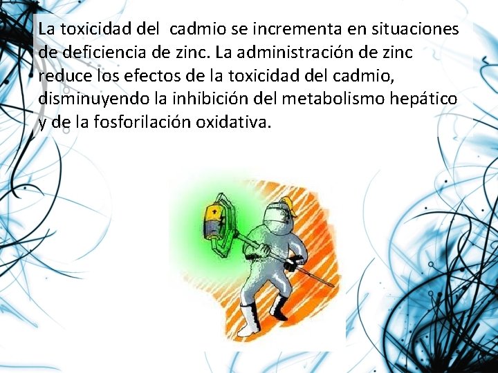 La toxicidad del cadmio se incrementa en situaciones de deficiencia de zinc. La administración