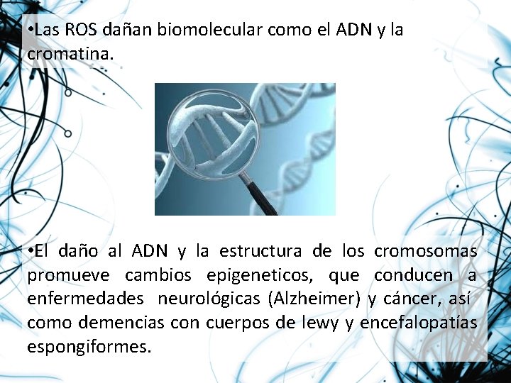  • Las ROS dañan biomolecular como el ADN y la cromatina. • El