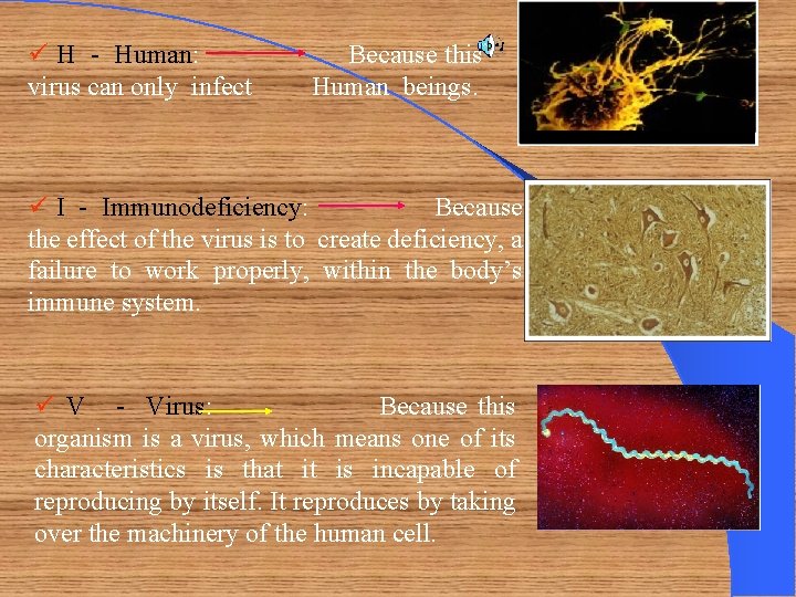 ü H - Human: virus can only infect Because this Human beings. ü I