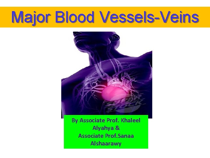 Major Blood Vessels-Veins By Associate Prof. Khaleel Alyahya & Associate Prof. Sanaa Alshaarawy 