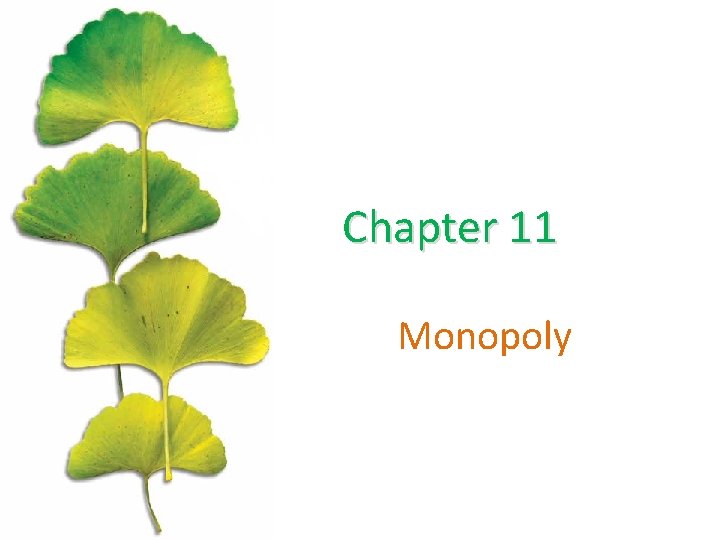 Chapter 11 Monopoly 