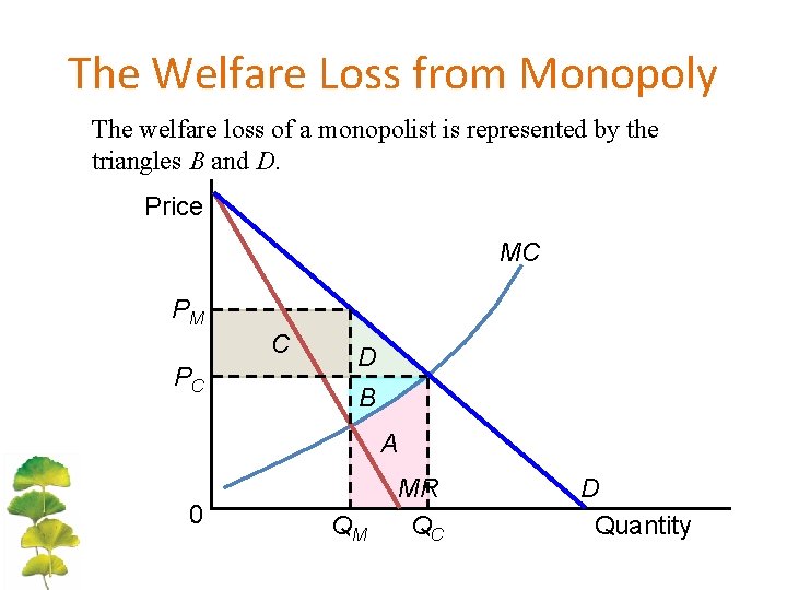 The Welfare Loss from Monopoly The welfare loss of a monopolist is represented by