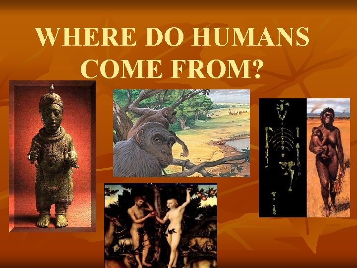 WHERE DO HUMANS COME FROM? 