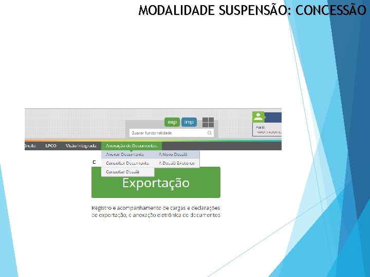 MODALIDADE SUSPENSÃO: CONCESSÃO 