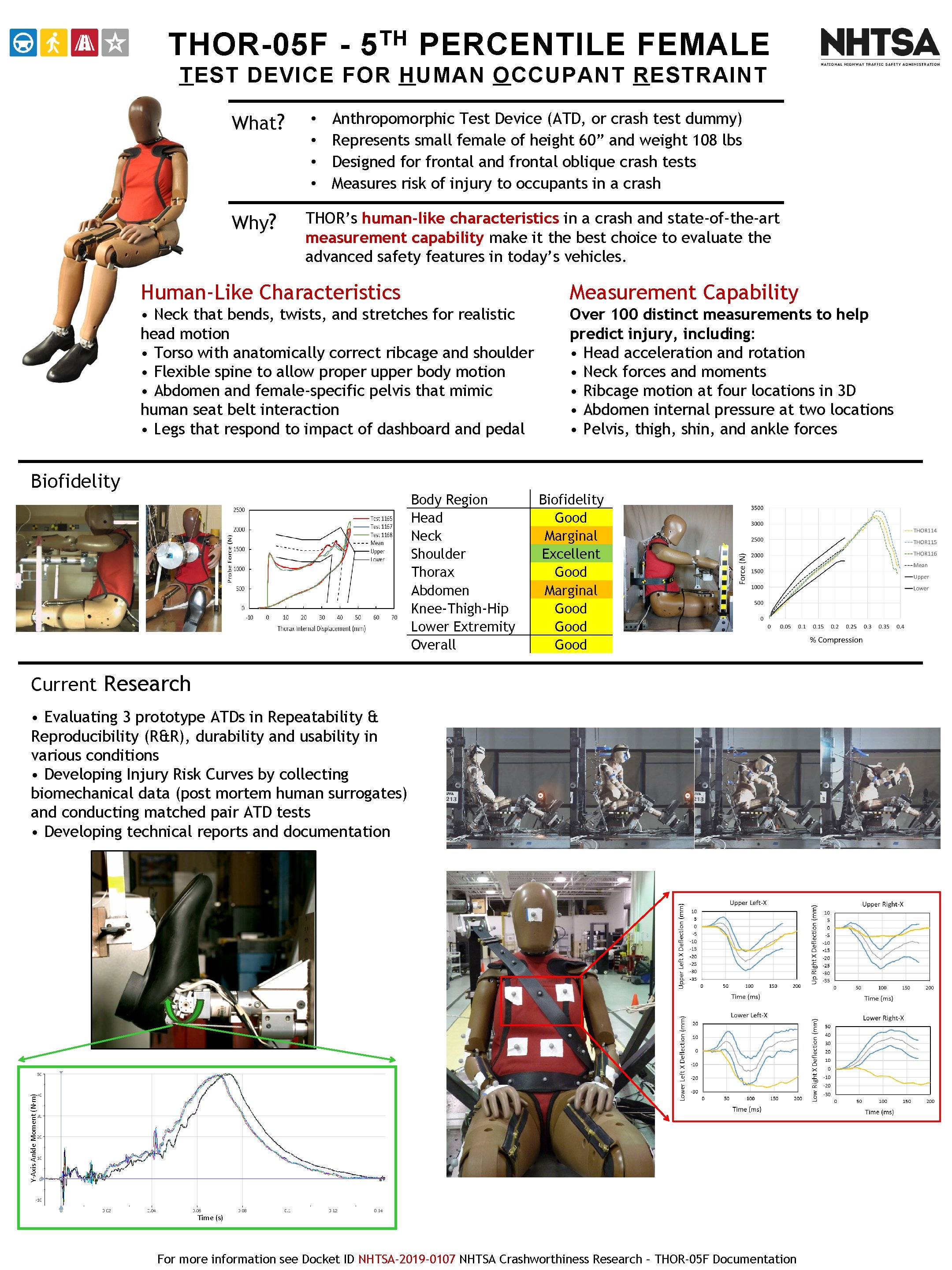 THOR-05 F - TH 5 PERCENTILE FEMALE TEST DEVICE FOR HUMAN OCCUPANT RESTRAINT What?