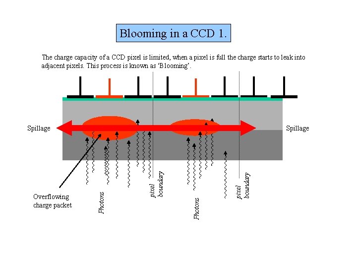 Blooming in a CCD 1. The charge capacity of a CCD pixel is limited, Blooming in a CCD 1. The charge capacity of a CCD pixel is limited,