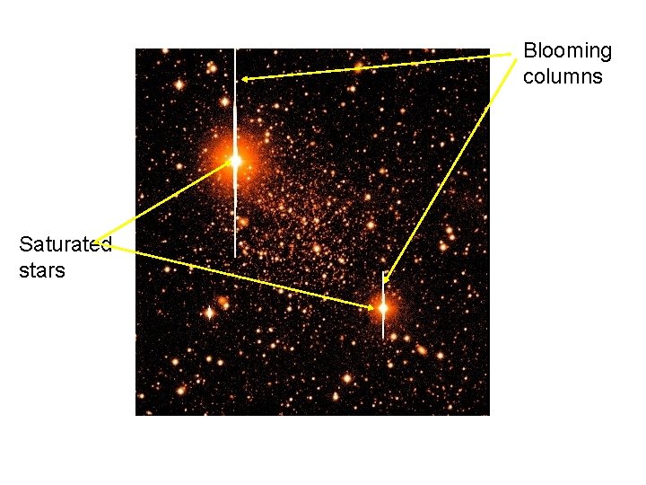 Blooming columns Saturated stars Blooming columns Saturated stars