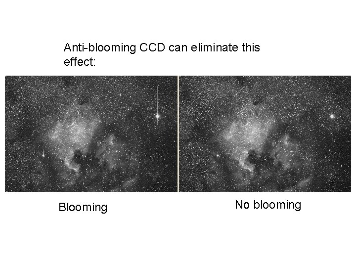 Anti-blooming CCD can eliminate this effect: Blooming No blooming Anti-blooming CCD can eliminate this effect: Blooming No blooming