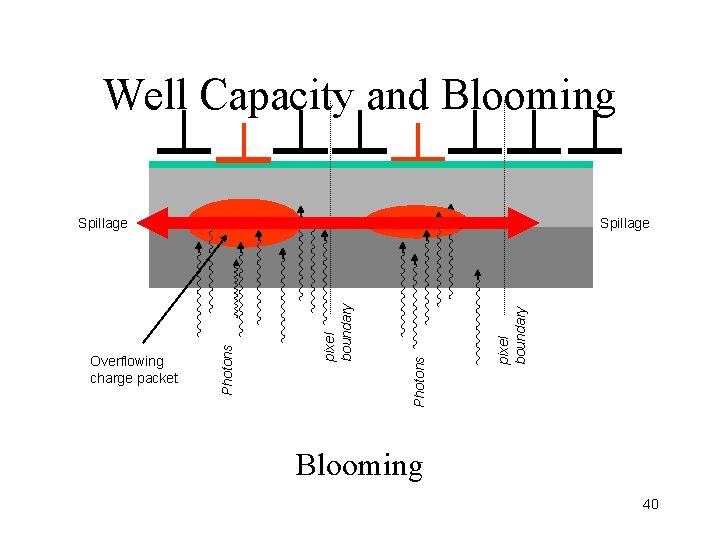 Well Capacity and Blooming pixel boundary Photons pixel boundary Overflowing charge packet Spillage Photons Well Capacity and Blooming pixel boundary Photons pixel boundary Overflowing charge packet Spillage Photons