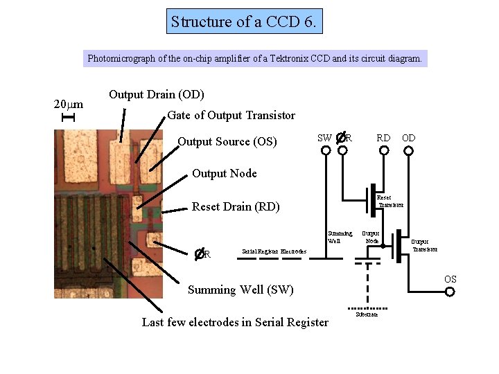 Structure of a CCD 6. Photomicrograph of the on-chip amplifier of a Tektronix CCD Structure of a CCD 6. Photomicrograph of the on-chip amplifier of a Tektronix CCD