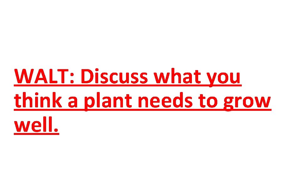 WALT: Discuss what you think a plant needs to grow well. 